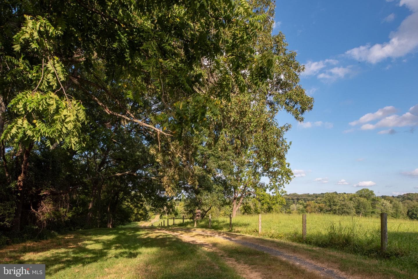 9124 Green Road photo 117