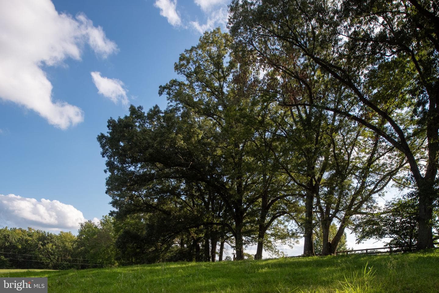 9124 Green Road photo 68
