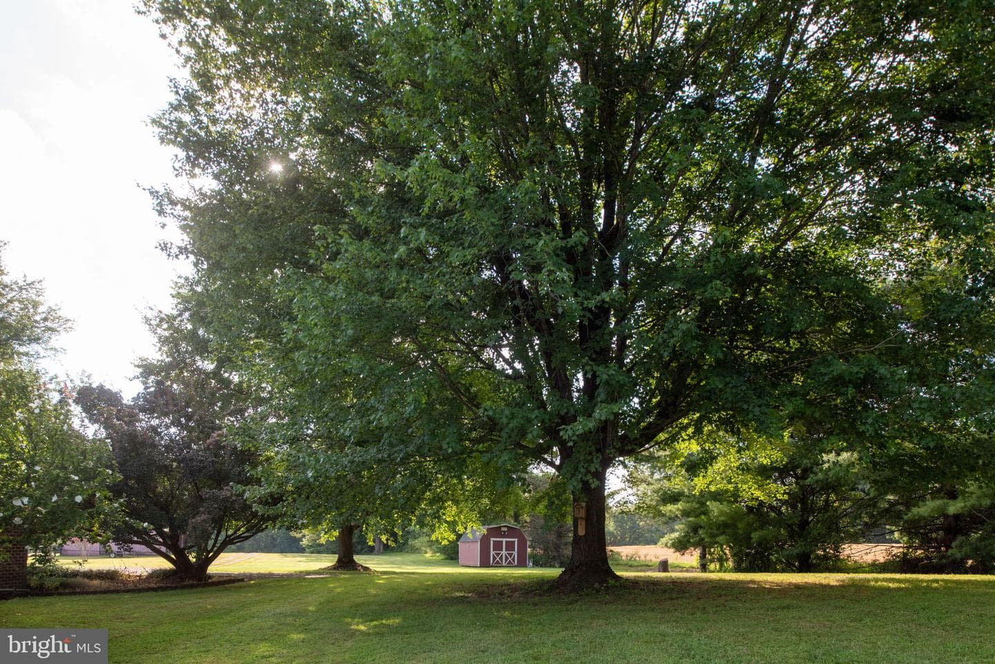 9124 Green Road photo 84