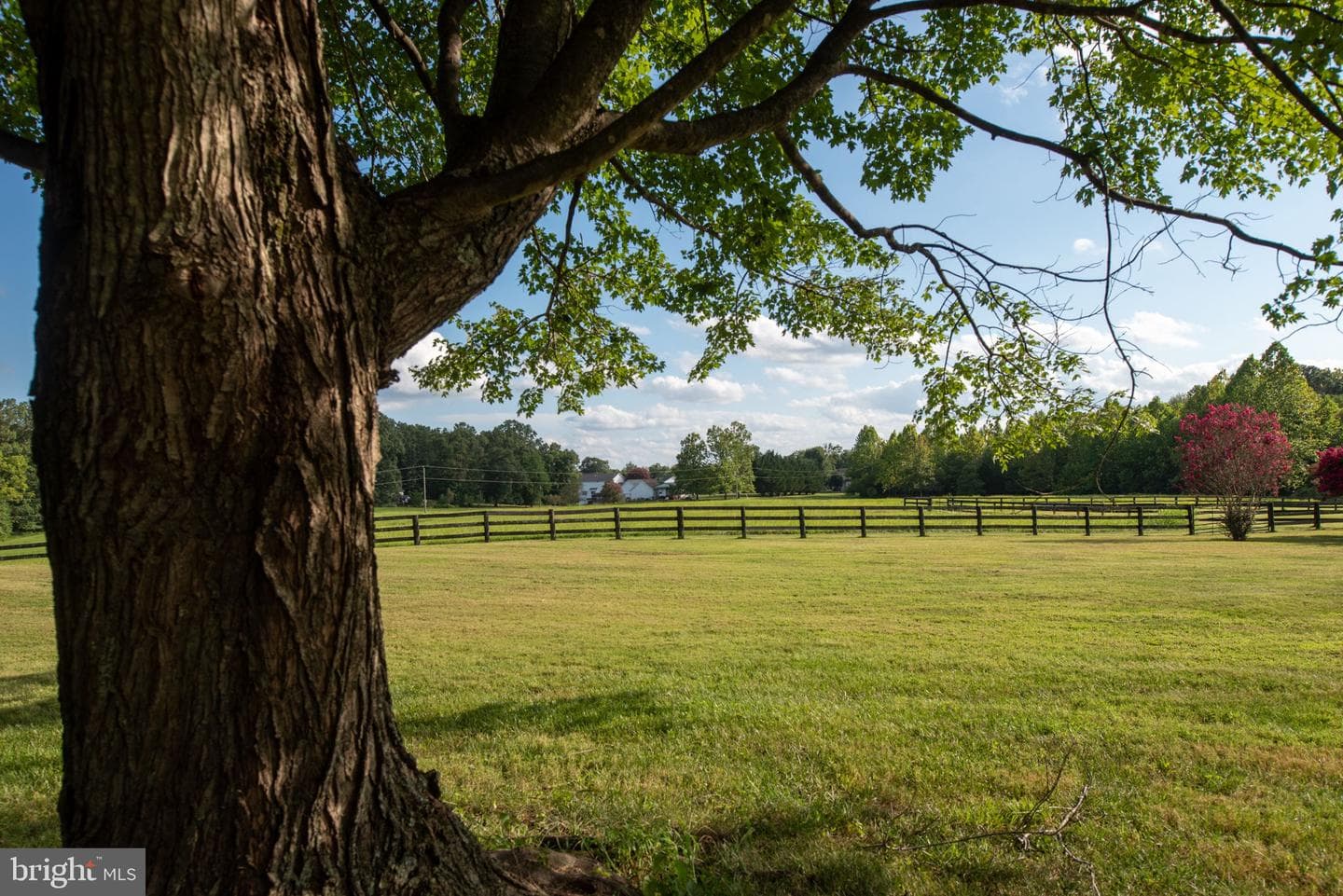 9124 Green Road photo 90