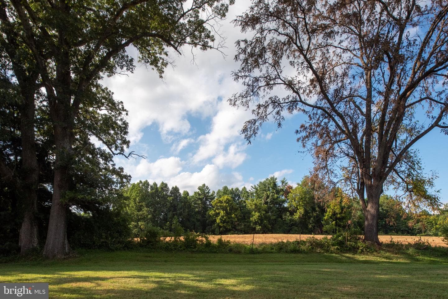 9124 Green Road photo 97
