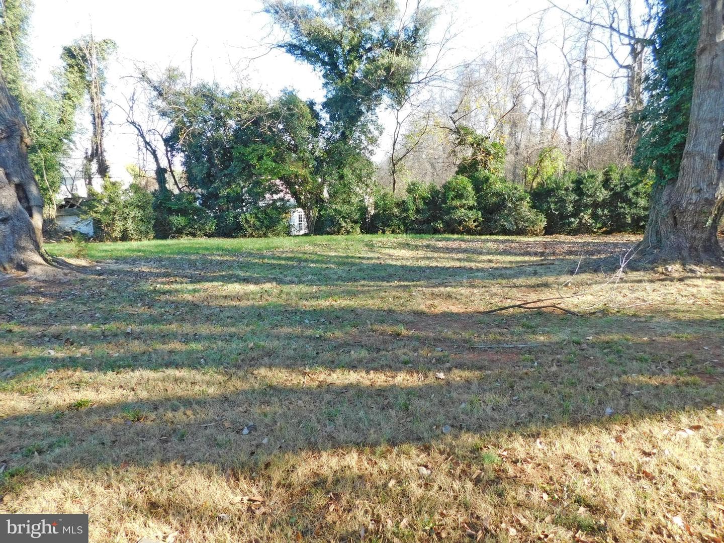 641 Old Meetze Road photo 15