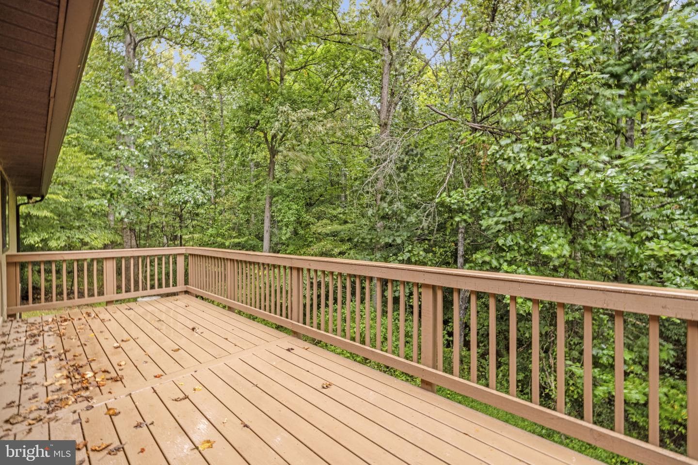 8406 Springs Way Place photo 10