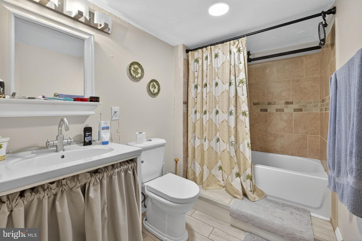 141 Blue Ridge Street photo 59