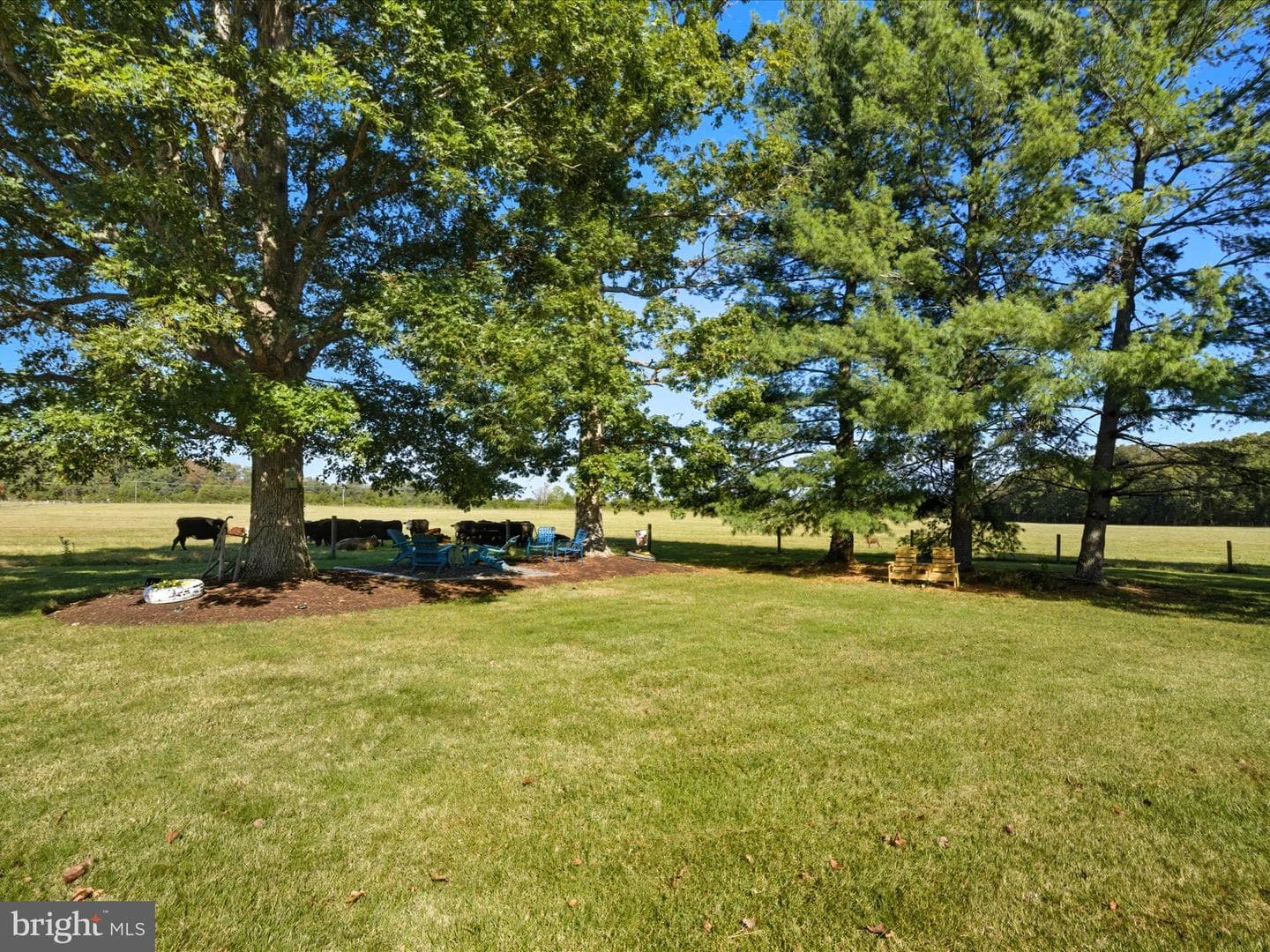 5364 Woodside Lane photo 21