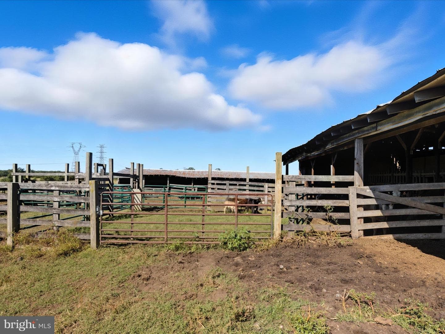 5364 Woodside Lane photo 40
