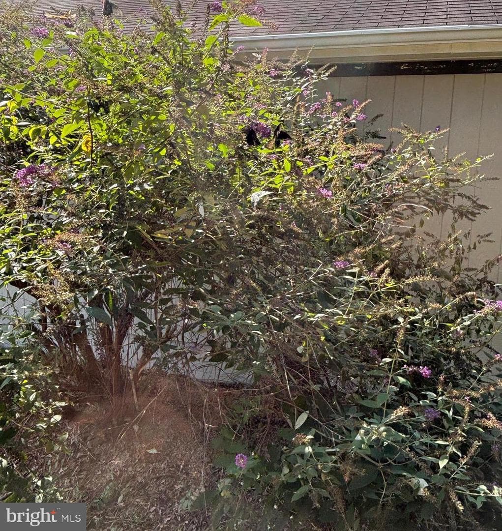 5084 Fairview Lane photo 33