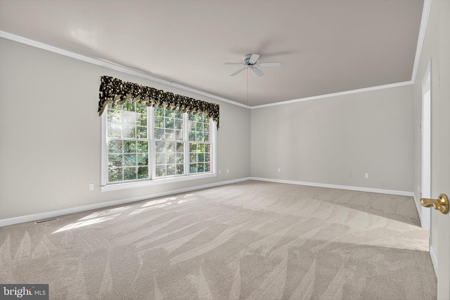 8363 S Creedmore South Drive photo 34