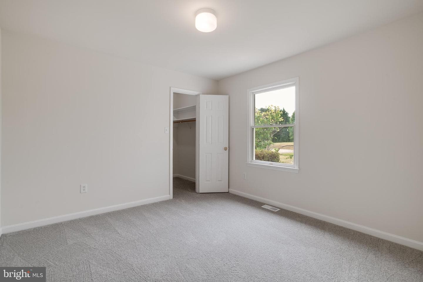 11241 Craig Lane photo 18