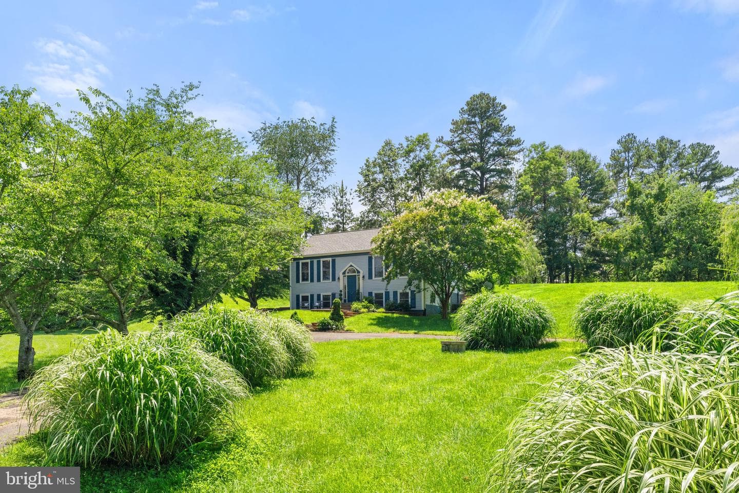 6251 Ridge Lane photo 3