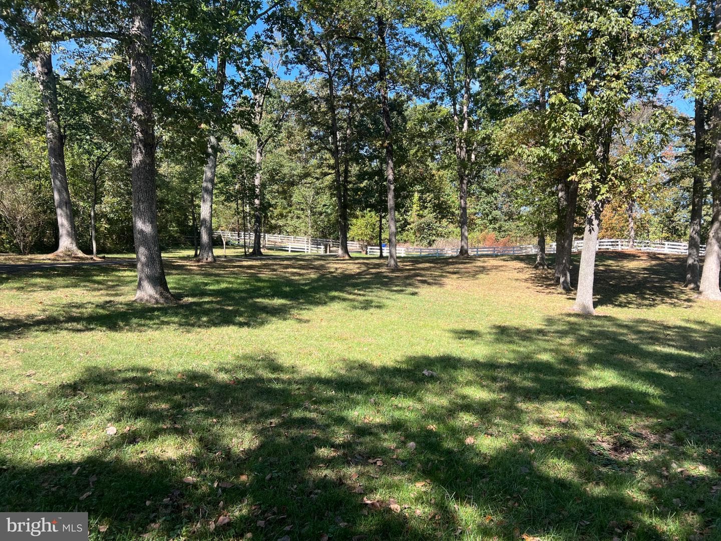 4561 Weston Road photo 3