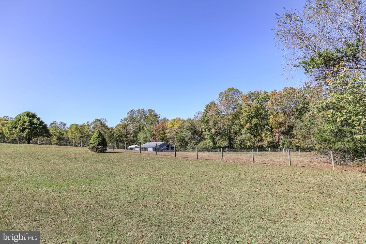 13206 Golden Drive photo 57