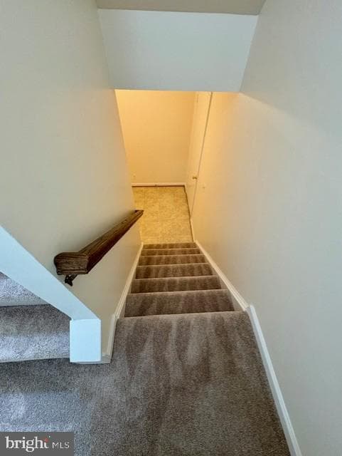 748 Cherry Tree Lane photo 20