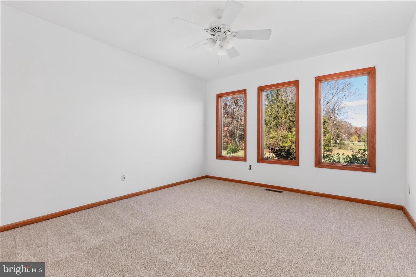 6241 Deborah Drive photo 18