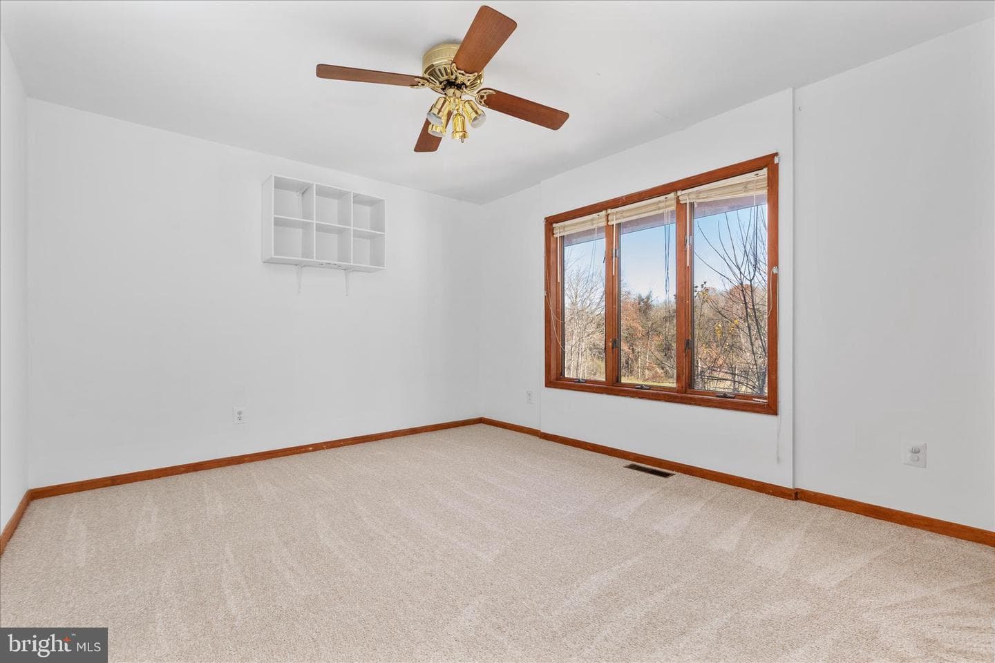 6241 Deborah Drive photo 19