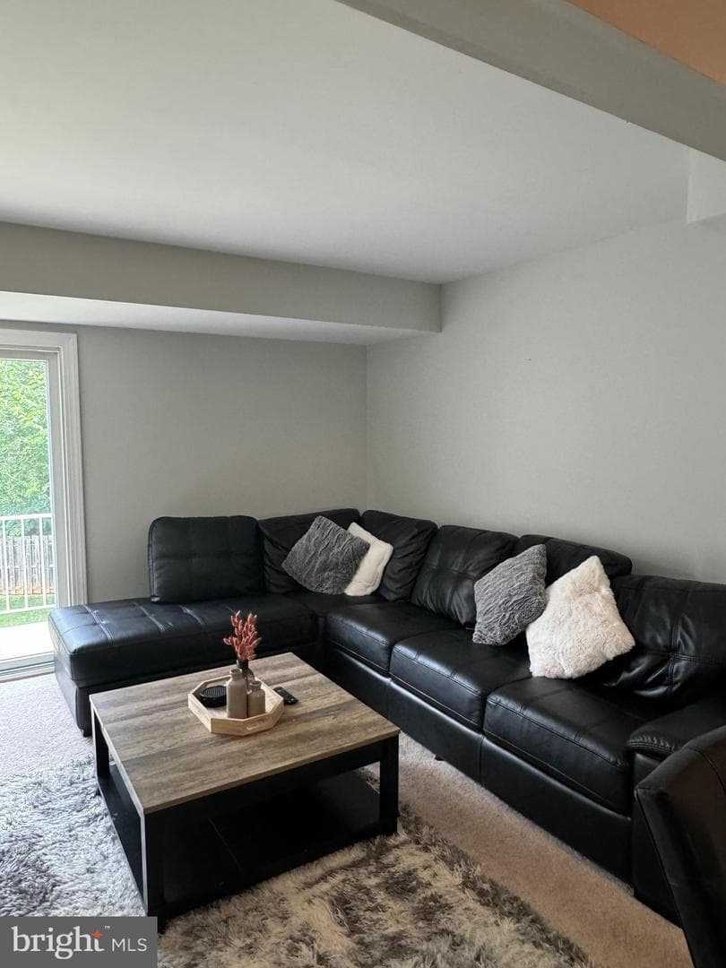 150 Fairfield Drive #150c photo 12