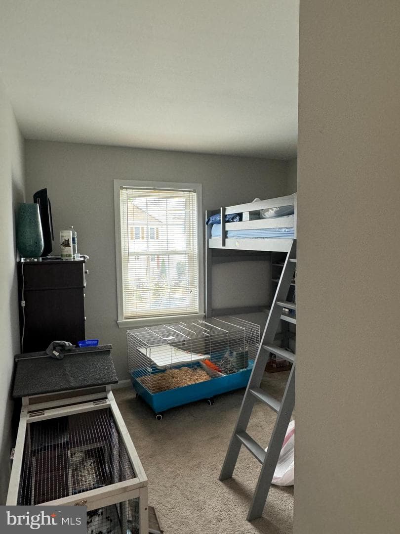 150 Fairfield Drive #150c photo 15