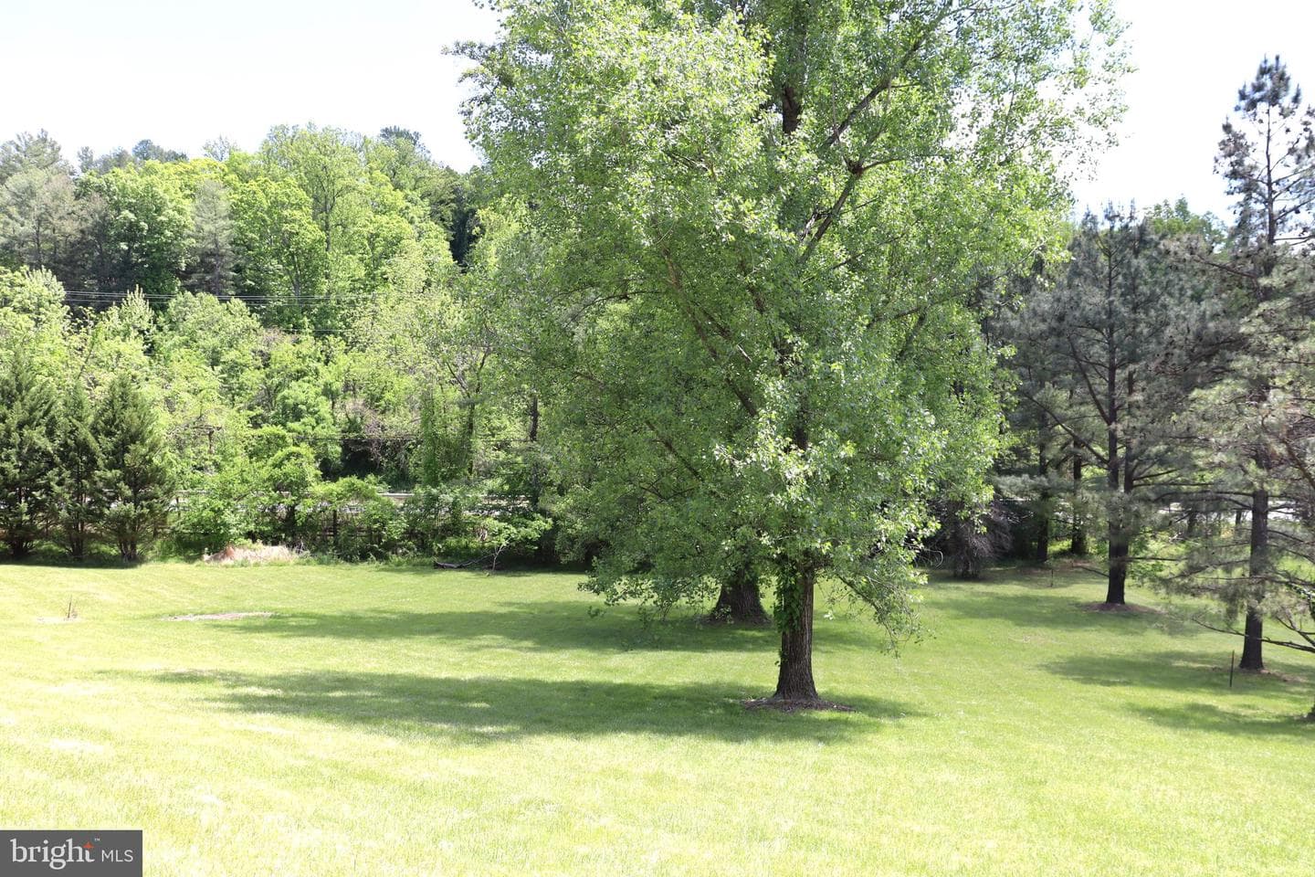 6885 Walnut Heights Drive photo 56