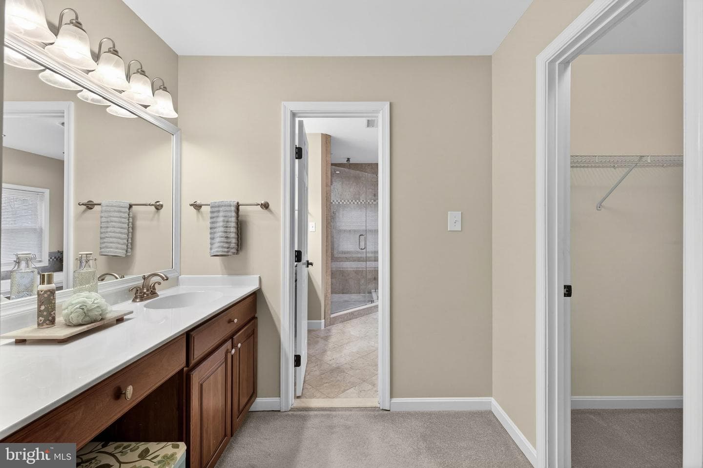 7243 Windsor Court photo 59