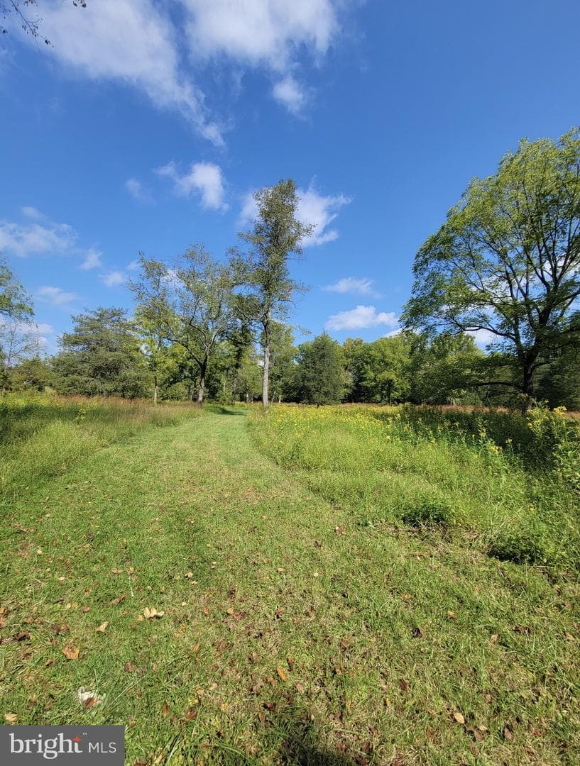 8487 Botha Road photo 37