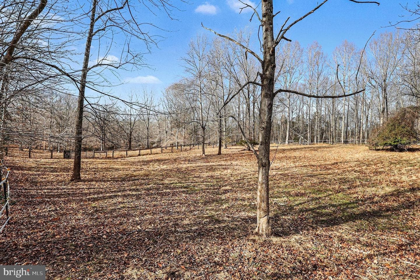 8318 Diamond Hill Road photo 76