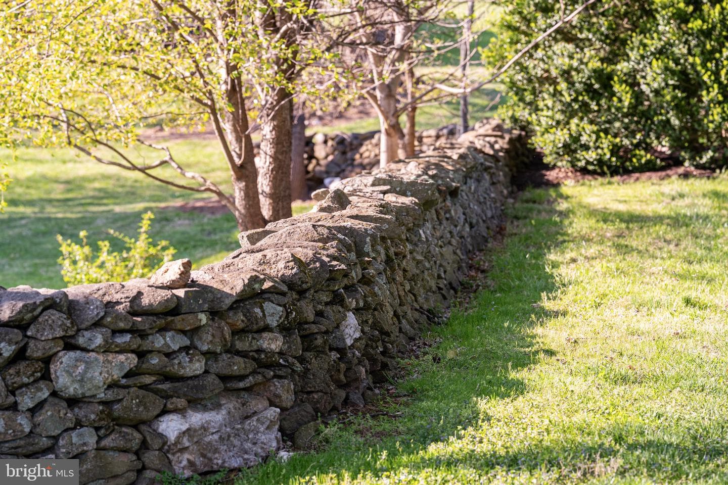 12087 Moss Hollow Road photo 25