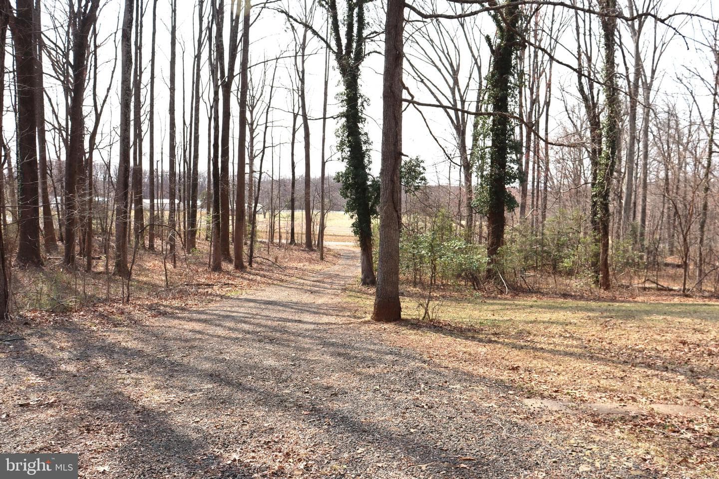 9305 Lees Ridge Road photo 34