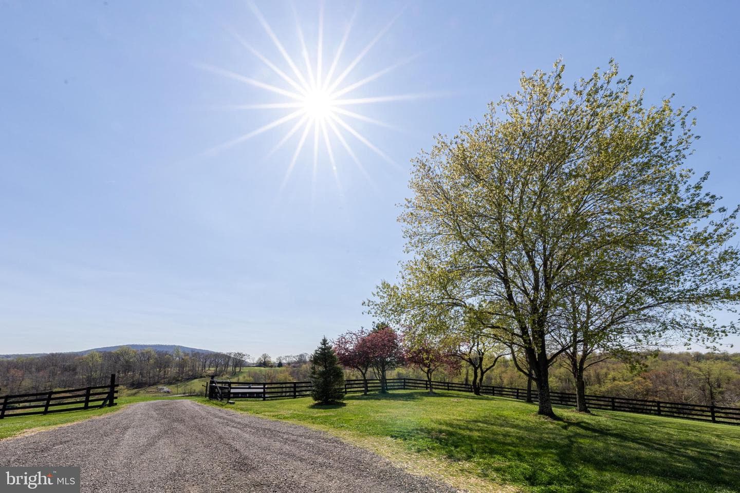 11597 Leeds Chapel Lane photo 44