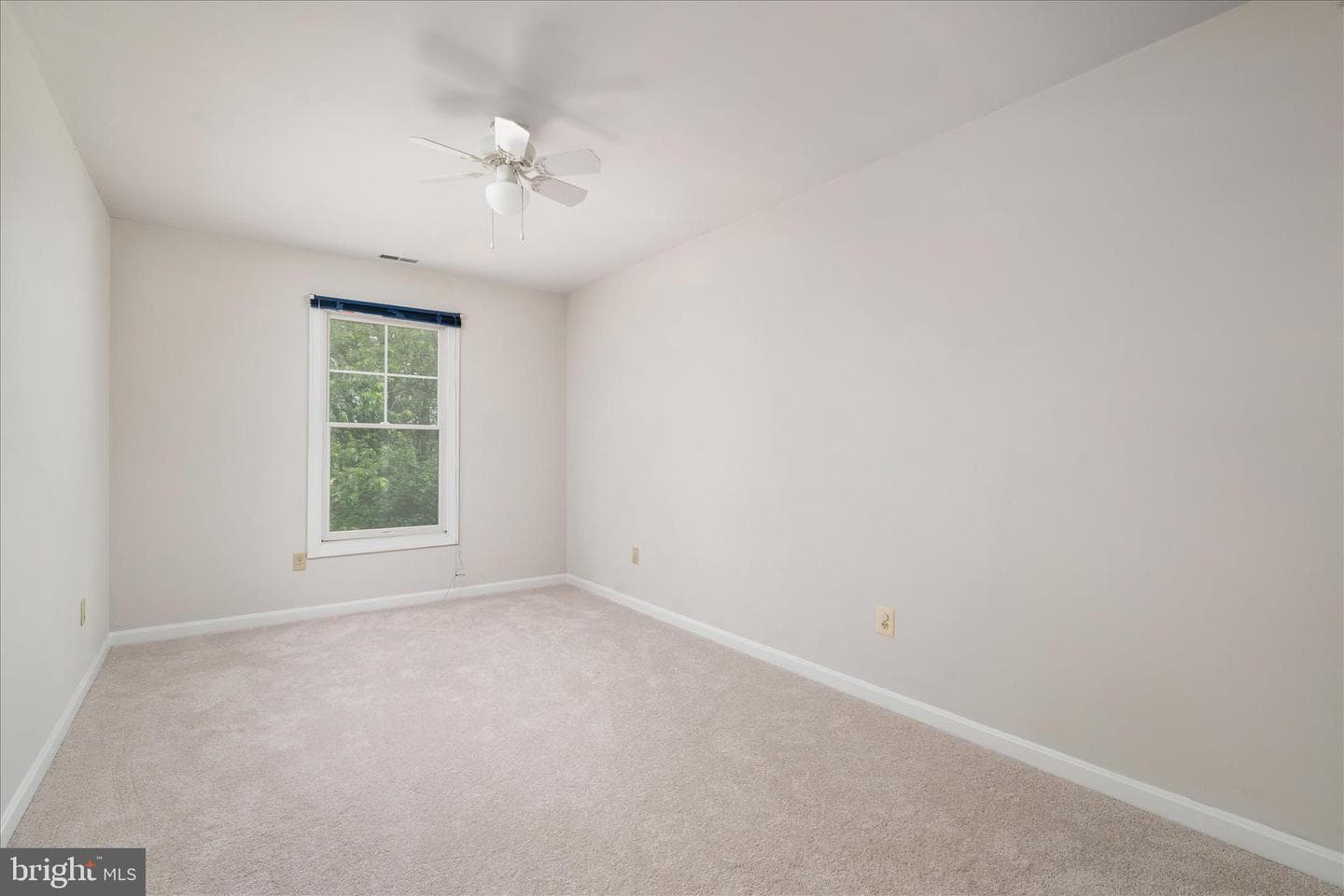 3961 Rectortown Road photo 21