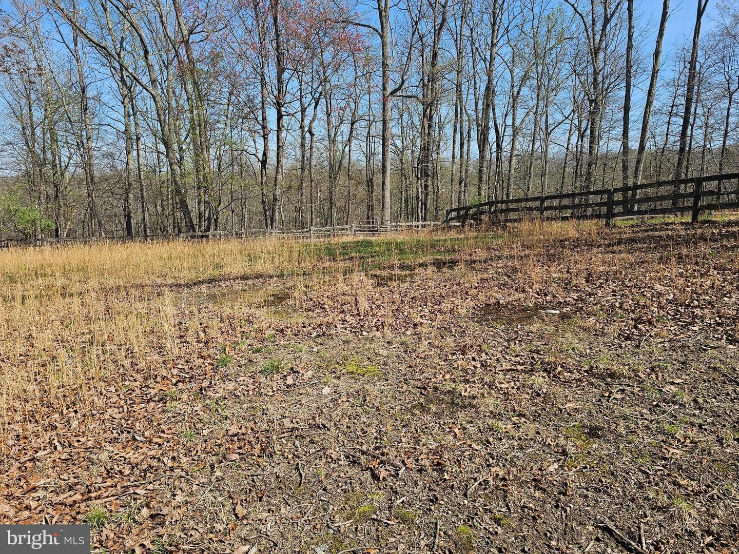 9373 Walden Lane photo 36