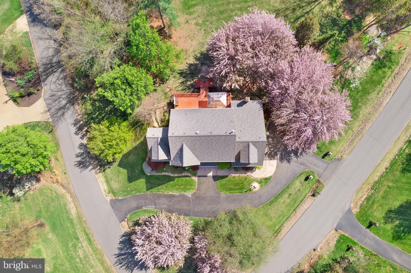 7573 Fusilier Drive photo 3