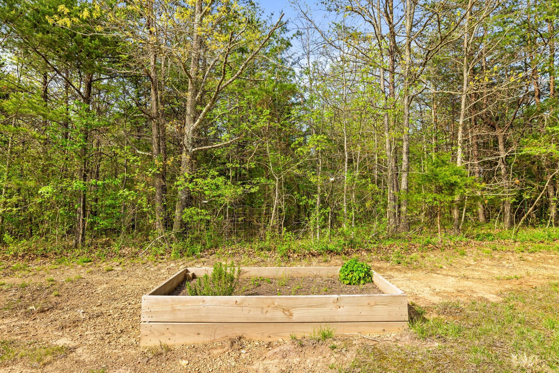 10287 Trylec Lane photo 97