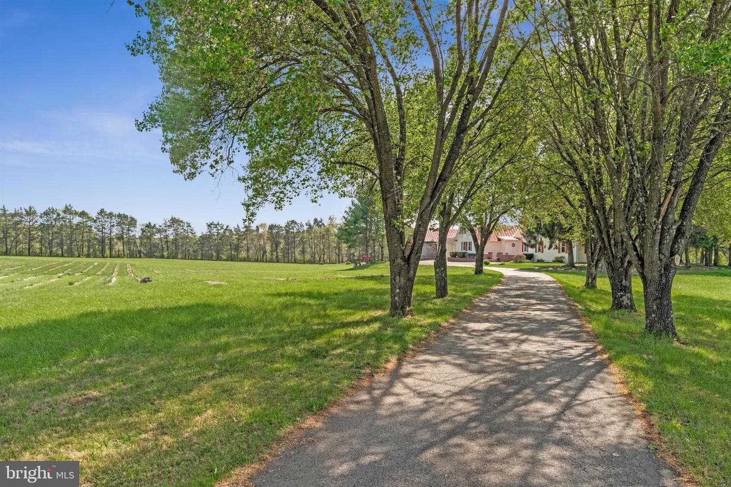 6227 Liberty Road photo 54