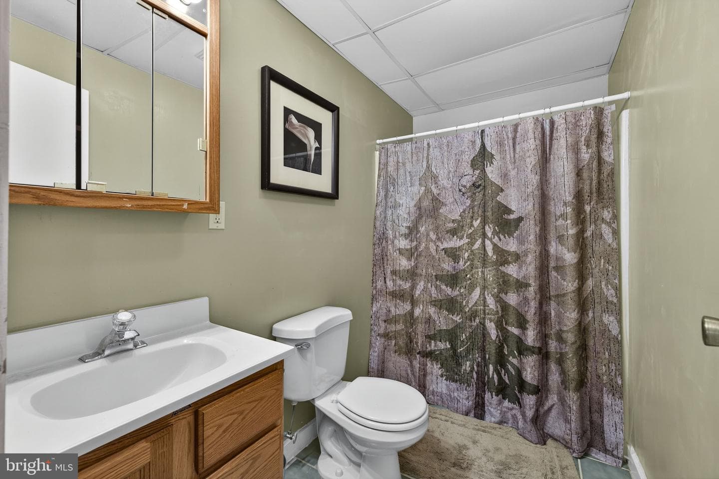 10418 Cliff Mills Road photo 38