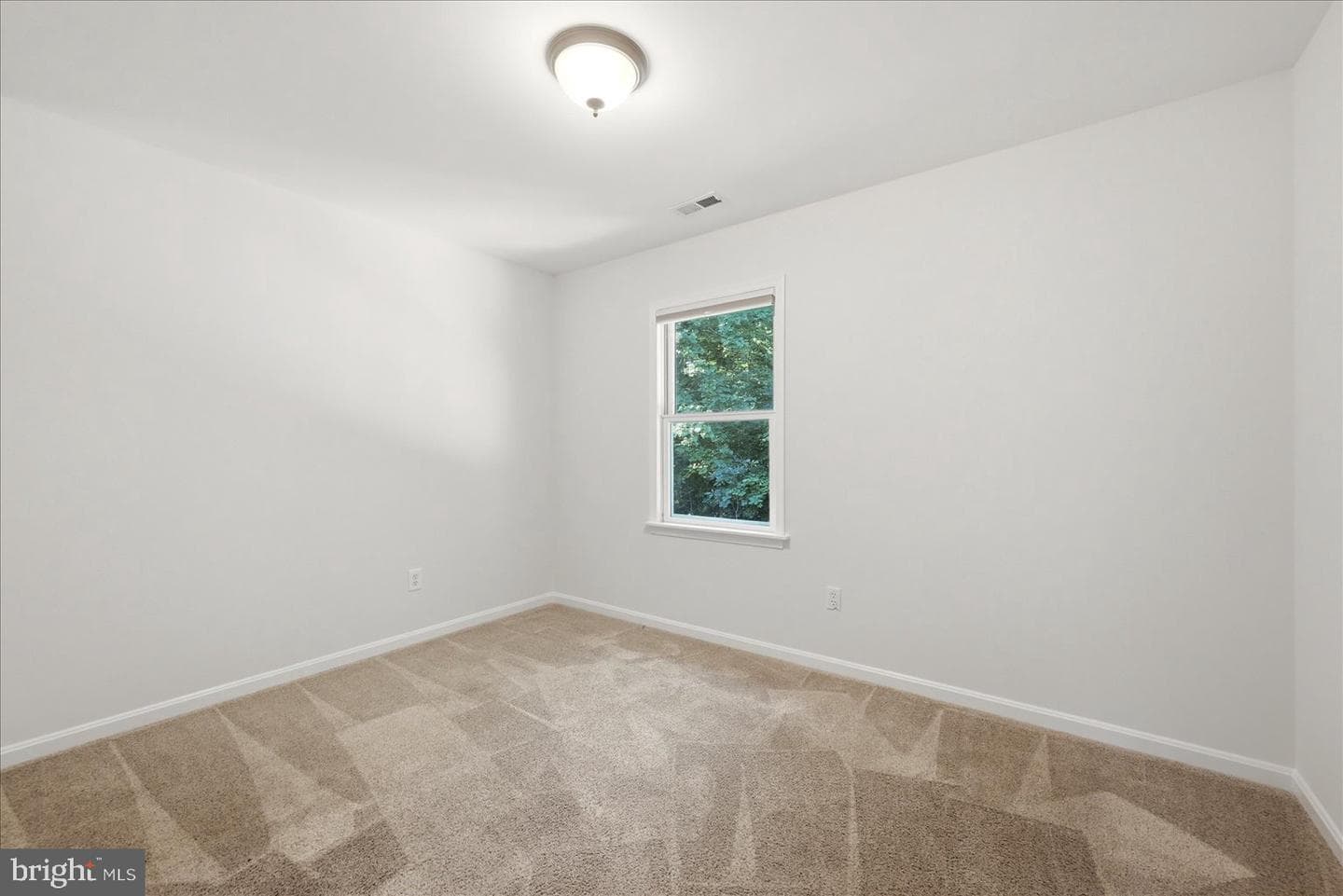 9516 Primrose Lane photo 16
