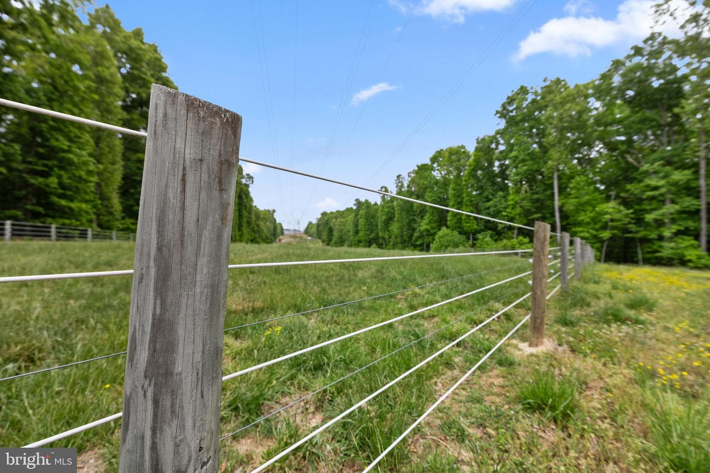 5099 Courtneys Corner Road photo 61