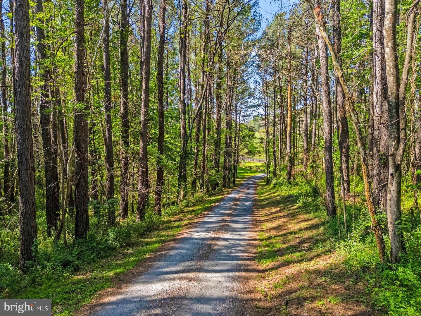 3079 Halfway Road photo 6