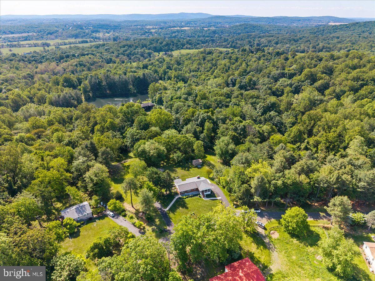 3545 Cobbler Mountain Road photo 30