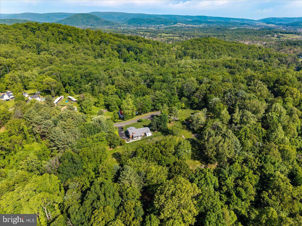 3545 Cobbler Mountain Road photo 37