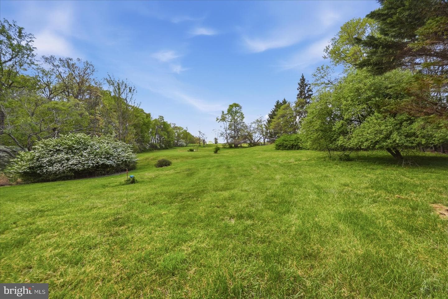 2674 Five Points Road photo 4