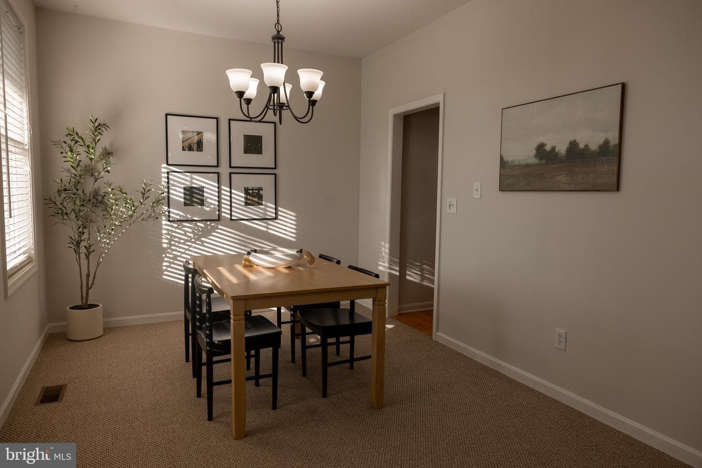 8411 Eldorado Drive photo 23