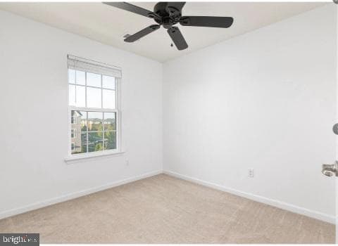 3014 Revere Street photo 24