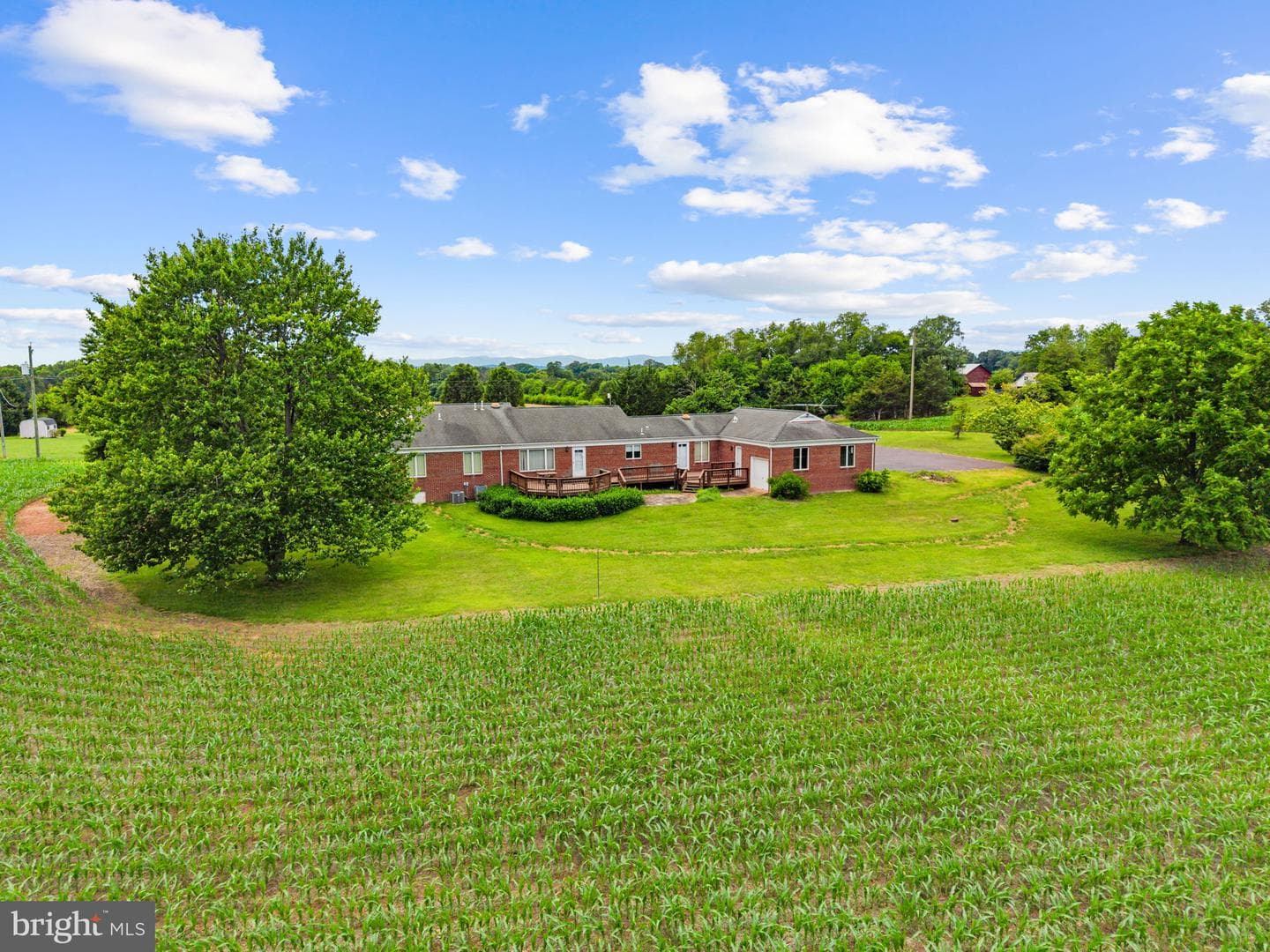 11889 Cemetery Road photo 69