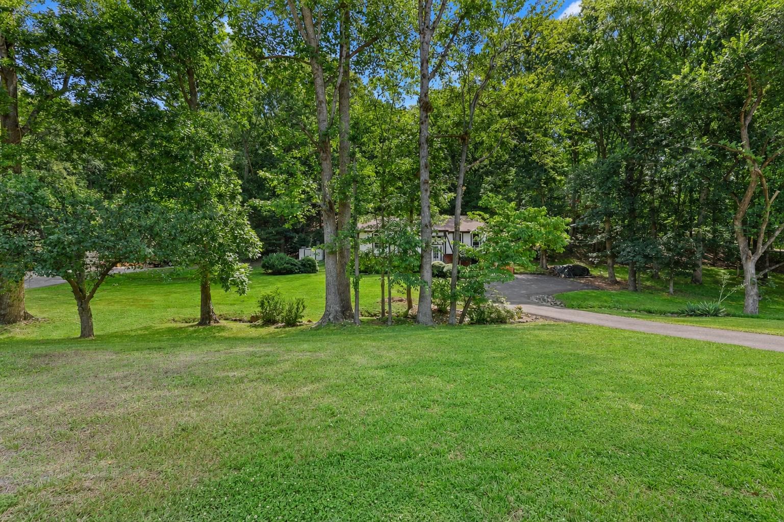 7357 Auburn Mill Road photo 36