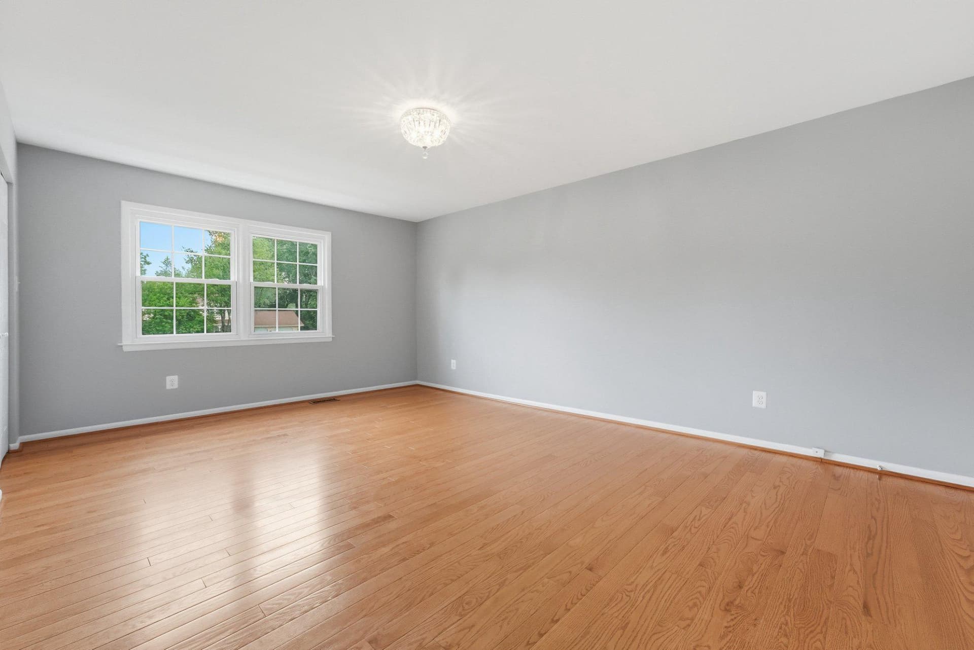 7150 Spotsylvania Street photo 22