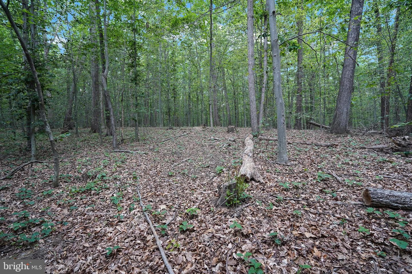 6067 Pilgrims Rest Road photo 50