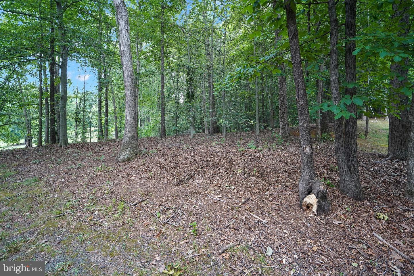 6067 Pilgrims Rest Road photo 53