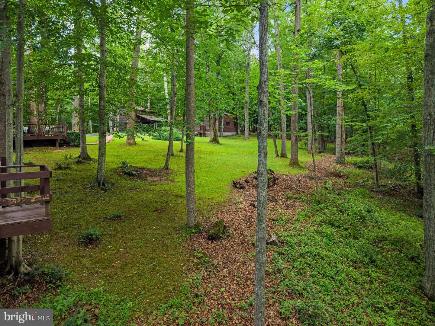 9914 Crest Court photo 104