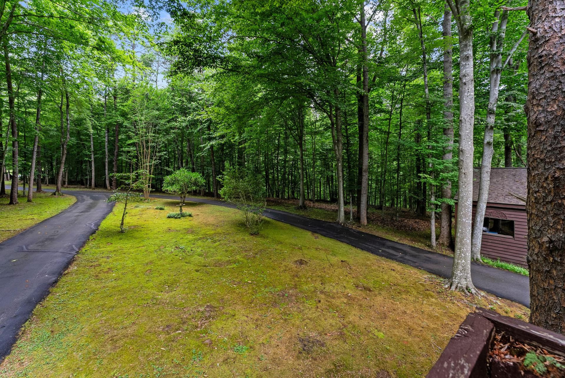 9914 Crest Court photo 118
