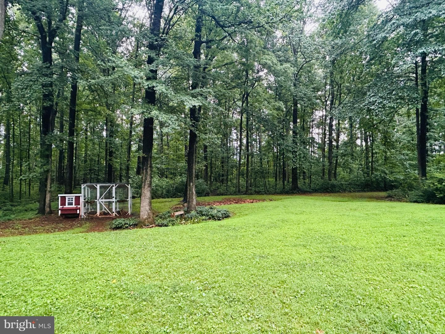 4405 Lakewood Drive photo 5